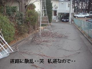 f0031037_17143444.jpg