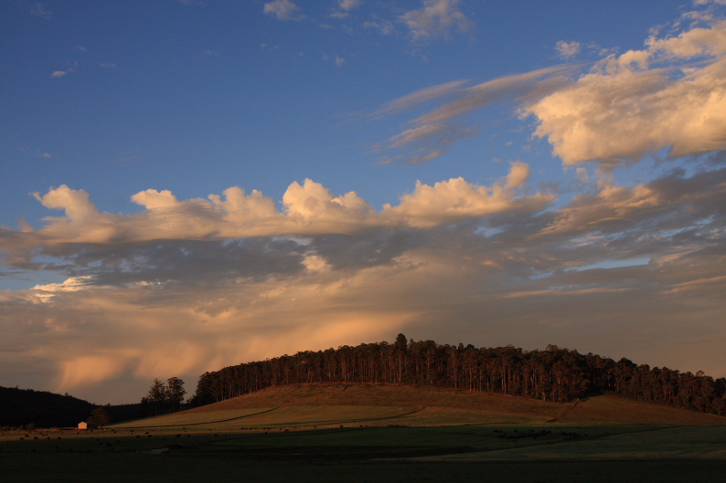 f0137354_121121.jpg