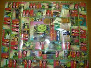 f0052059_920342.jpg