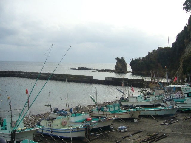 1月22日(火)勝浦はもう春?_f0060461_14373122.jpg