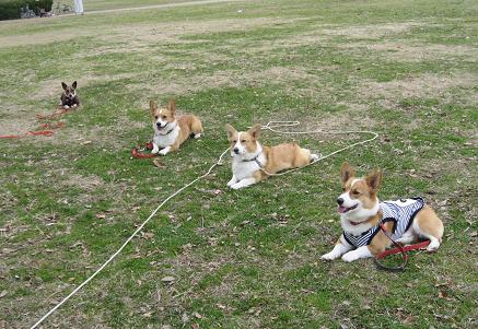 寒かった公園で~♪_d0134867_1738061.jpg