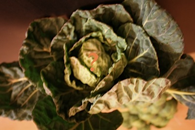 Brussels sprouts_c0156468_19385394.jpg
