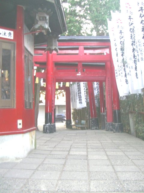 f0137275_7165659.jpg