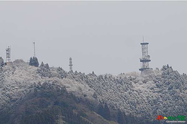 高草山に雪_f0110680_21175546.jpg