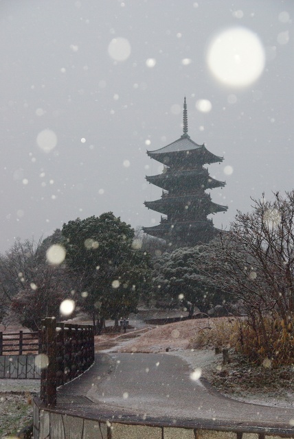 雪降る備中国分寺_c0135381_15561214.jpg