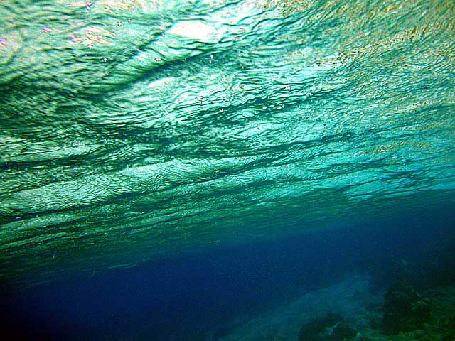 緑の海 蒼の海 沖縄の風景や自然 なきじん海辺の自然学校 緑の海 蒼の海 沖縄の風景や自然 なきじん海辺の自然学校