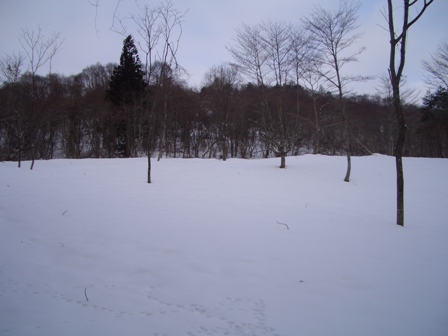 c0099395_9215371.jpg
