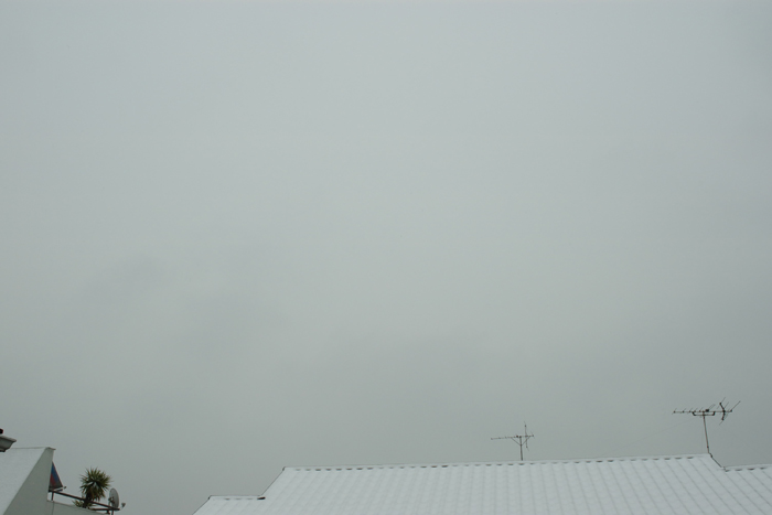 c0120903_1783995.jpg