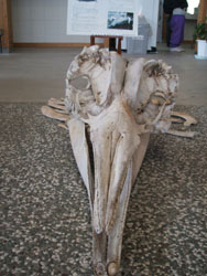 f0048405_14464059.jpg