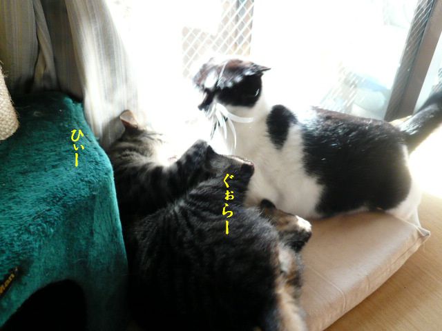 e0094407_025344.jpg