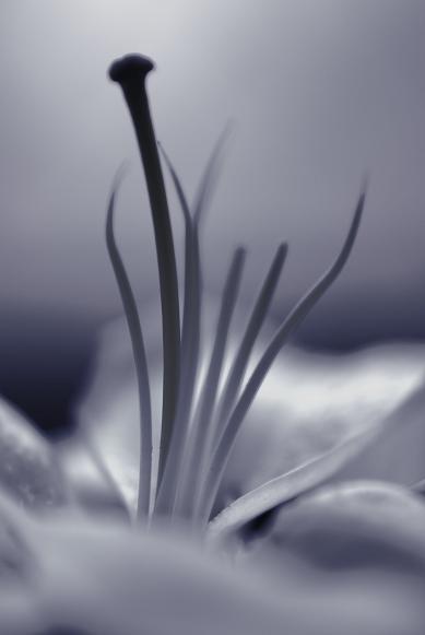f0155808_840482.jpg