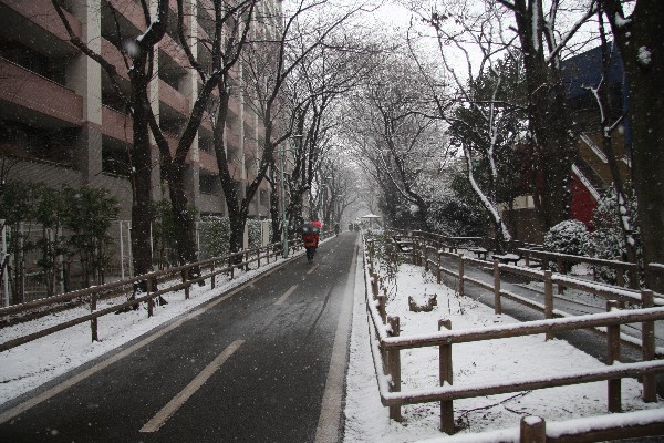 東京の雪_e0121710_9593661.jpg