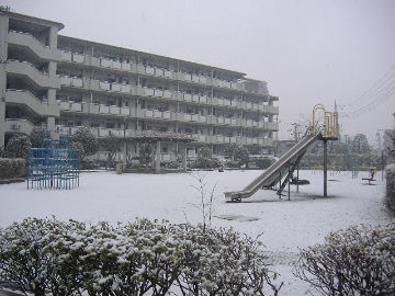 雪だぞ～♪_b0058213_1021677.jpg
