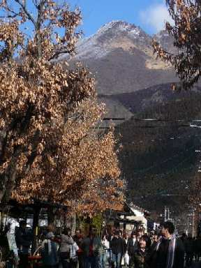 c0112313_20304921.jpg