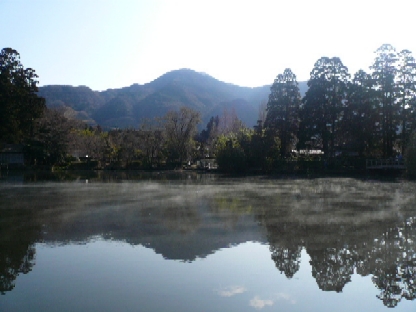c0112313_2032206.jpg