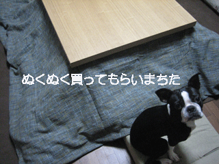 e0080117_22115672.gif