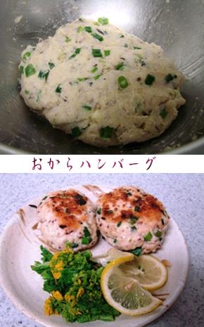 おからハンバーグ_c0039924_21223515.jpg