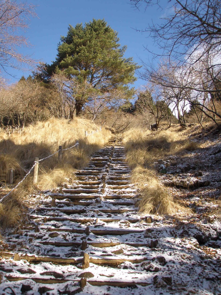 丹沢・大倉尾根から塔ノ岳～鍋割山_c0007525_1152777.jpg