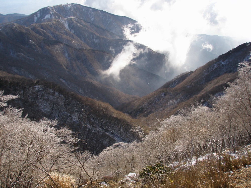 丹沢・大倉尾根から塔ノ岳～鍋割山_c0007525_22079.jpg