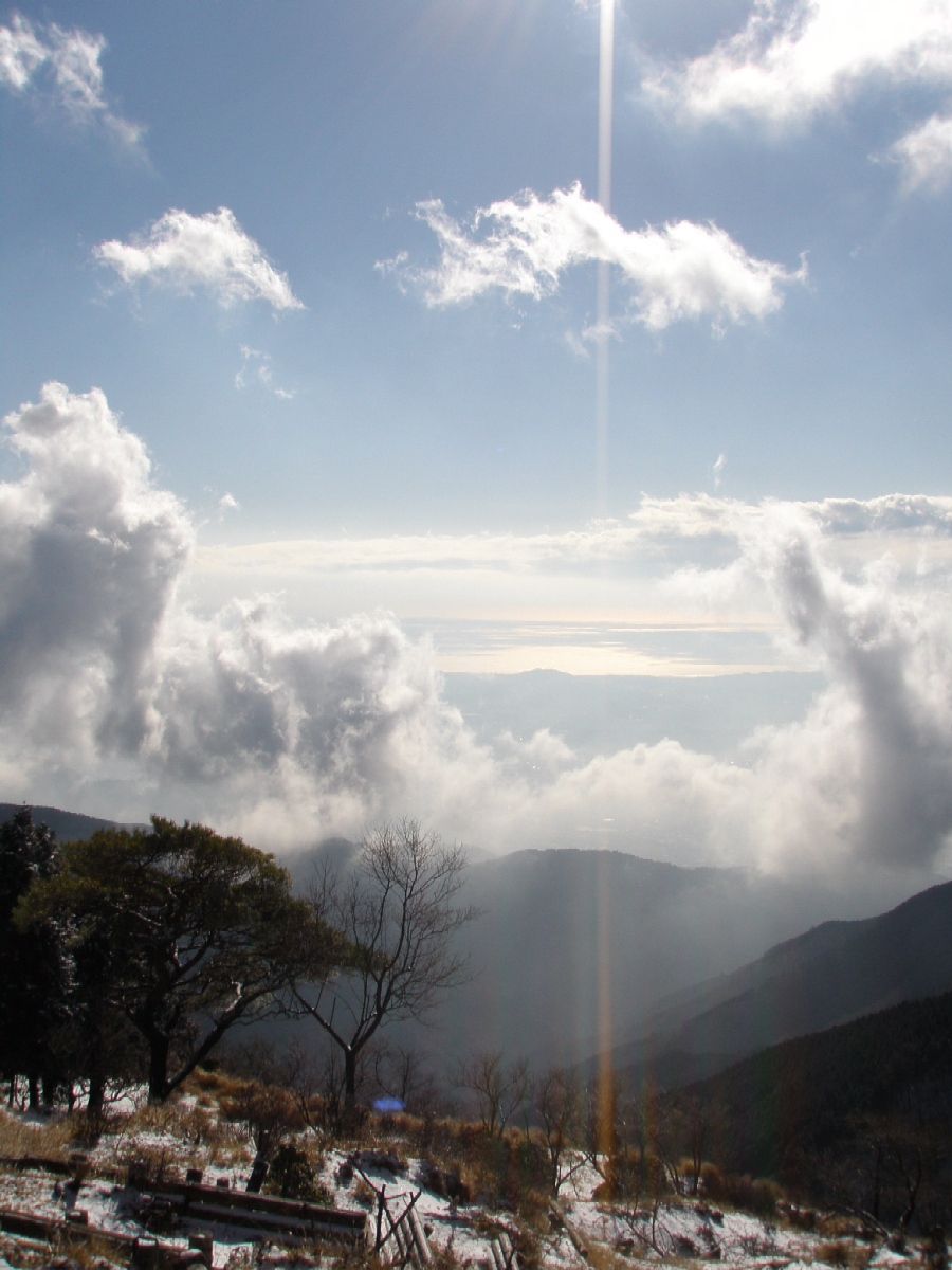 丹沢・大倉尾根から塔ノ岳～鍋割山_c0007525_241460.jpg