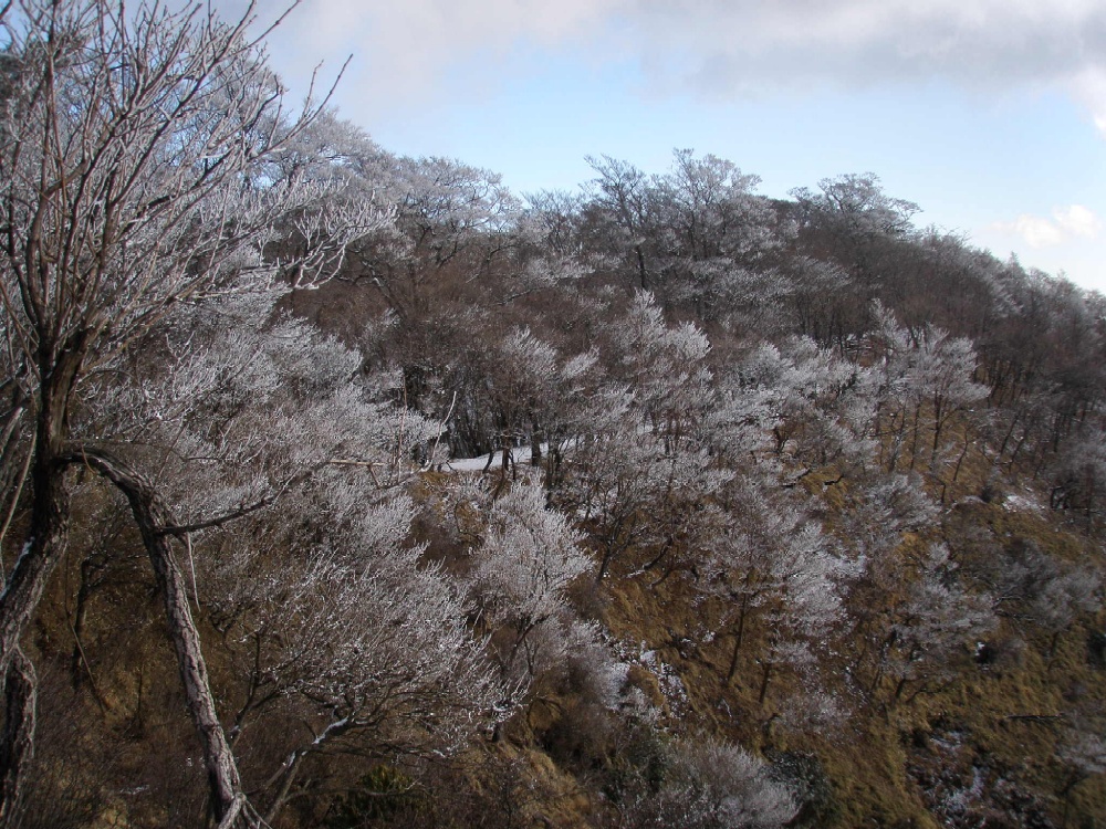 丹沢・大倉尾根から塔ノ岳～鍋割山_c0007525_3152182.jpg