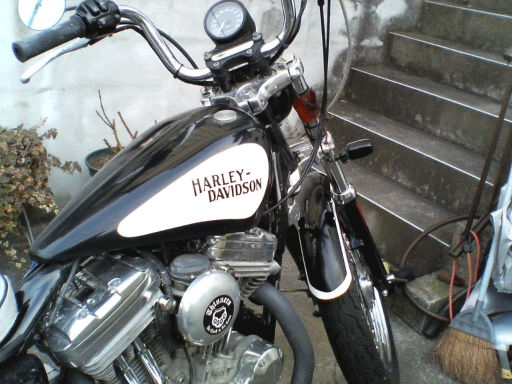c0006028_9324191.gif