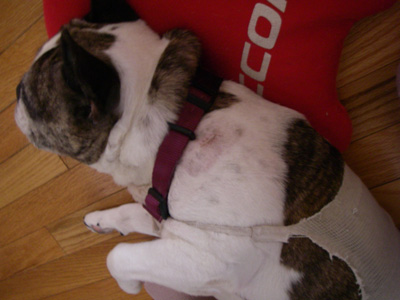 e0008833_13251330.jpg