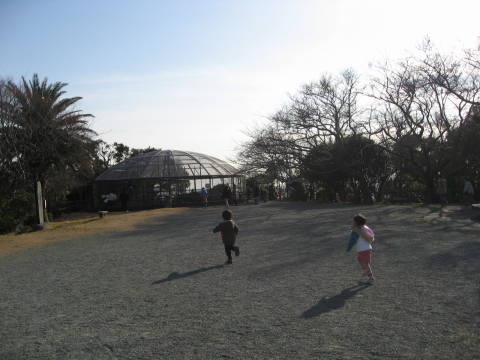 e0016135_23153828.jpg