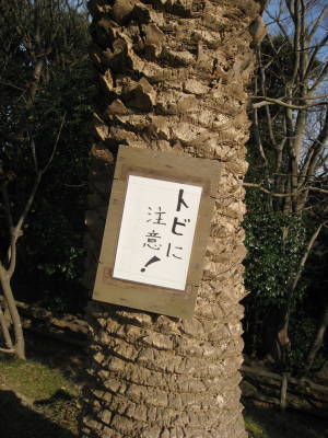 e0016135_23636.jpg