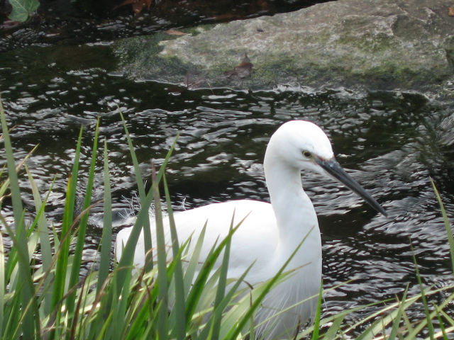 b0088037_947441.jpg
