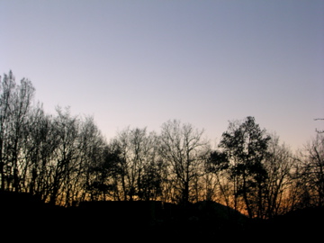 d0136540_1543182.jpg