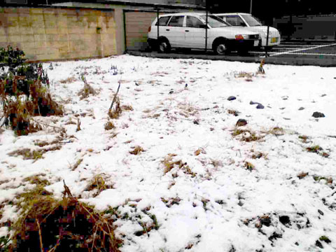 c0058052_16362462.jpg