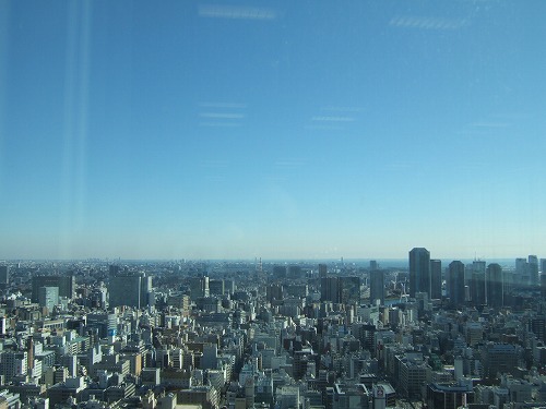d0089753_09484.jpg