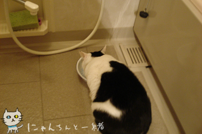 もも専用?_e0031853_315221.jpg