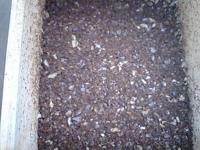 d0125059_13301415.jpg