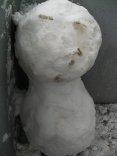 雪の日_b0117564_22141558.jpg