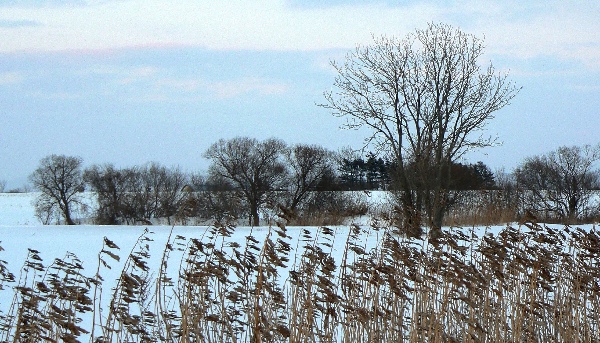 b0068572_111956.jpg