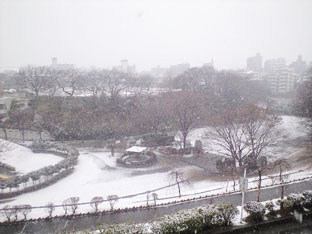 雪。_a0104075_14464015.jpg