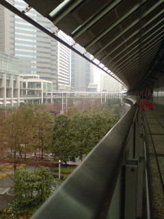 アササン_c0009877_11133845.jpg