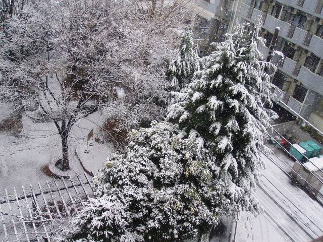 e0123680_22421969.jpg