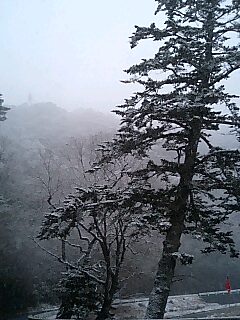 雪のかわうちから_d0027486_20375348.jpg