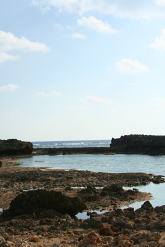 d0144092_18414986.jpg