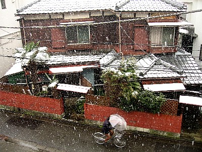 雪降りました_b0055196_18135343.jpg