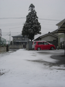 c0148401_9554835.jpg