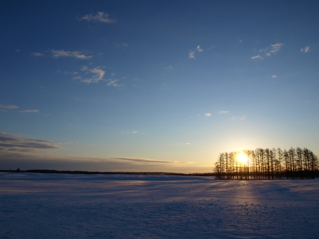 f0020302_20442216.jpg