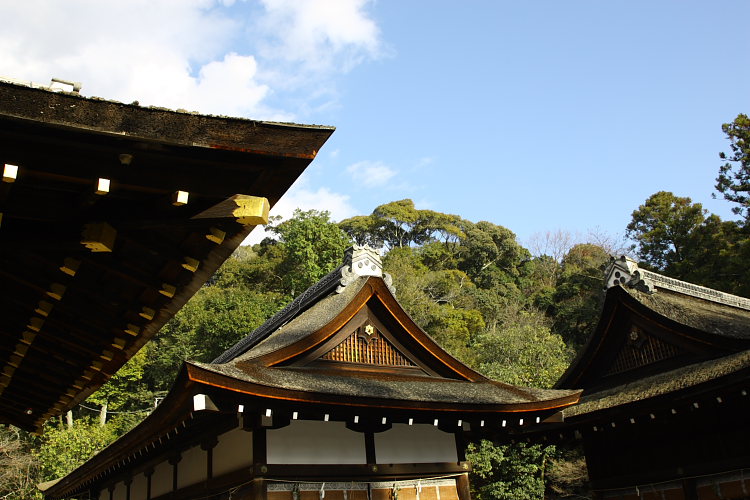そうだ　京都、行こう：上賀茂神社 part5_f0130607_742876.jpg