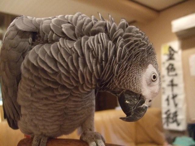 c0133013_23193440.jpg