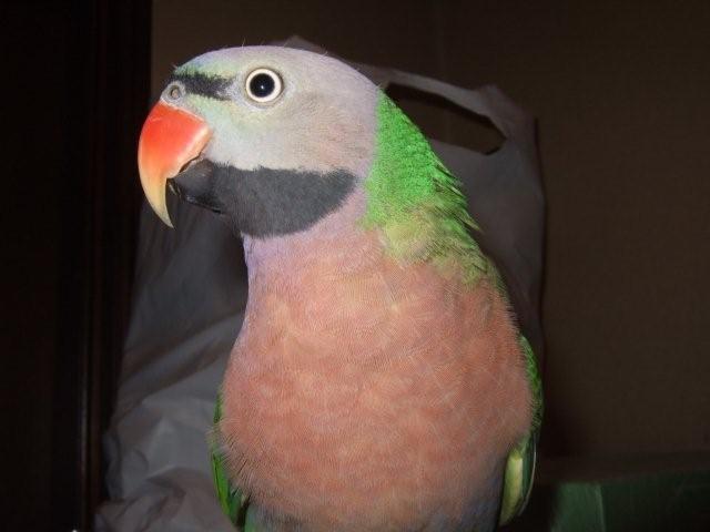 c0133013_23235051.jpg