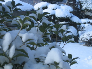 e0076814_2239382.jpg