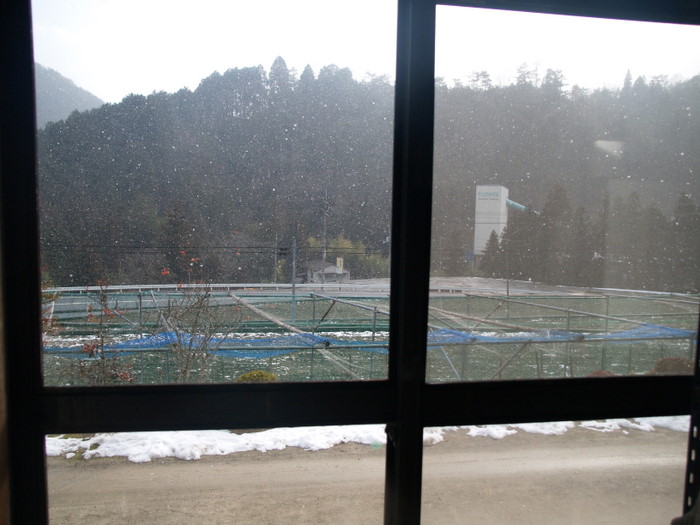 日中雪が降り。。_c0116915_2259455.jpg